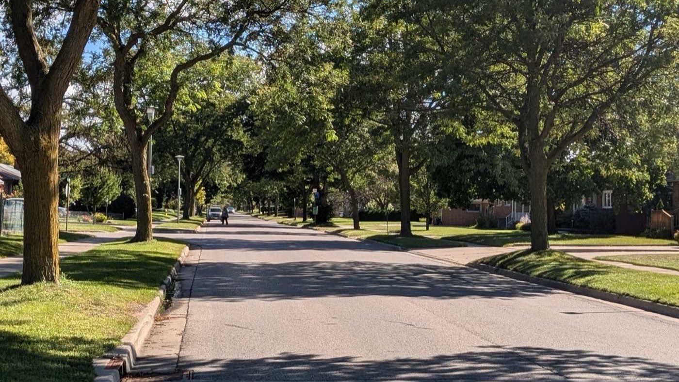 Tree-lined residential street in the Greater Toronto Area