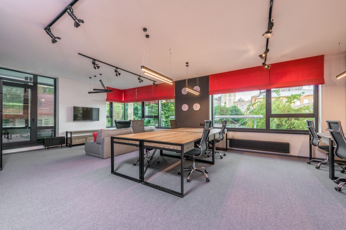 Bright open-plan office with desks and greenery outside the windows